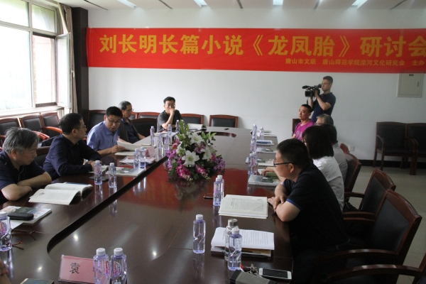 长篇小说《龙凤胎》研讨会在德赢官网召开