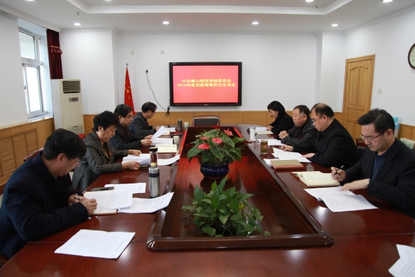 德赢官网召开2016年度党委常委民主生活会